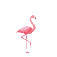Baha Mar Flamingo Sticker by Baha Mar Resorts