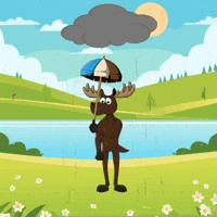 DoYouMoose sad nft rain blockchain GIF