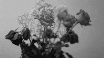 flower GIF