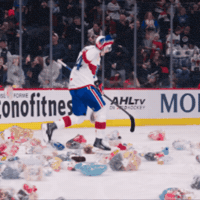 Teddy Bears Hockey GIF by Rocket de Laval