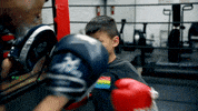 Boxing GIF