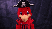 Big Red Thumbs Down GIF by Shippensburg University