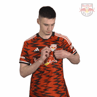 Red Bulls Yes GIF by New York Red Bulls