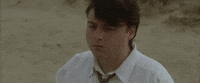Little Bird Canada GIF by TIFF