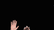 Alexandra Popp Football GIF by VfL Wolfsburg