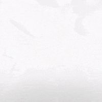 Hockey Home GIF by Eisbären Berlin