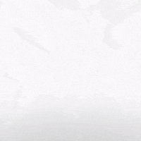 Hockey Home GIF by Eisbären Berlin