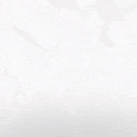 Hockey Home GIF by Eisbären Berlin