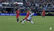 copa america centenario argentina GIF by Univision Deportes
