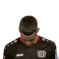 Bayer 04 Hello Sticker by Bundesliga