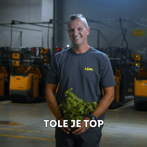 Top Try This GIF by Lidl Slovenija