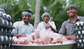 Tamil Cooking GIF