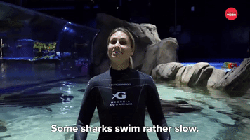 Some Sharks Swim Slow