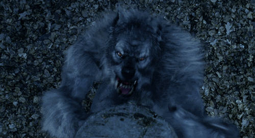 werewolf GIF