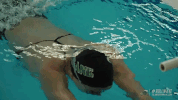 athletics swimming GIF by GreenWave