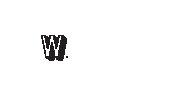 College University Sticker by WashU