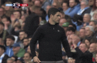 Arteta GIF by memes