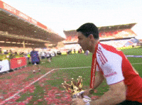 Arsenal Gunners GIF