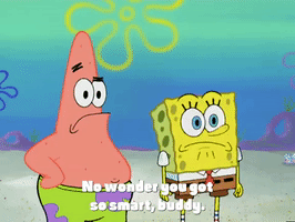 season 4 GIF by SpongeBob SquarePants
