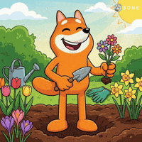 Growing Sunny Day GIF by BONK