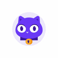 ProtonAG web search searching privacy GIF