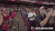 football nfl GIF by Atlanta Falcons