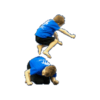 Seinäjoki Sticker by Seinäjoenvoimistelijat