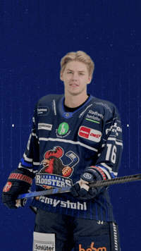 GIF by Iserlohn Roosters