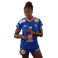 Ffhandball Sticker by Fédération Française de Handball