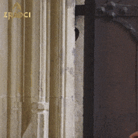 Kotek GIF by prima+