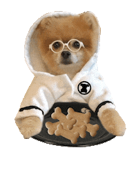 dog breakfast Sticker by MISO PUP