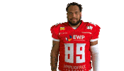 Love Your Work Football Sticker by Potsdam Royals