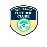 Futebol Vasco Sticker by DetranES