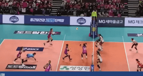 bongjunjeong giphyupload GIF