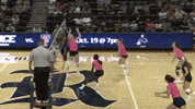 Rice University Celebration GIF by Rice Owls