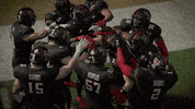 Video Game Easports GIF by Texas Tech Football