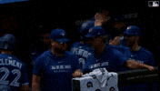 Blue Jays High Fives GIF by Toronto Blue Jays