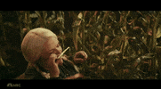 Snl GIF by Saturday Night Live
