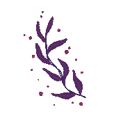 acamisart boho ornament leafs branch Sticker