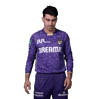 Kolkata Knight Riders Ipl Sticker by Knight Riders Sports