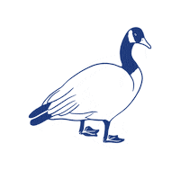 Class Of 2020 We Are Uon Sticker by UniOfNottingham