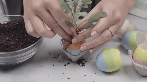 diy easter GIF by evite