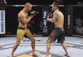 fight gameplay GIF by EA SPORTS UFC