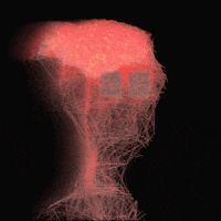 LineApeClub obscure line ape club obscure prints line apes GIF