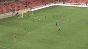 seattle reign fc soccer GIF by Houston Dash
