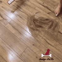 Pet Hair Cats GIF by indigopetco