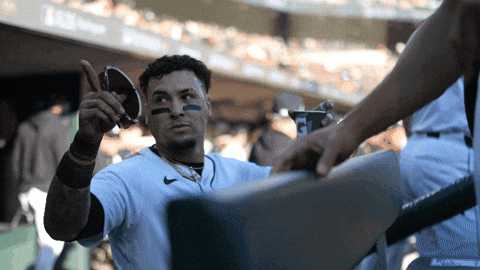 Detroit Tigers Baseball GIF by MLB