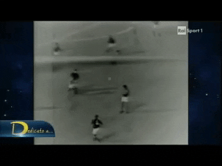 jvansica giphygifmaker GIF