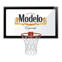 Sport Count It Sticker by Modelo USA