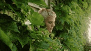 Summer Day Plants GIF by Hardly Art